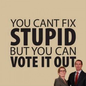 Ontario Provincial Election